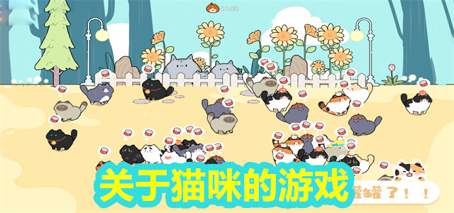 关于猫咪的游戏