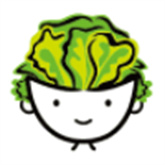 老王磁力安卓版