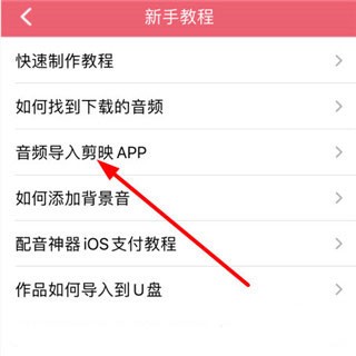 音频怎么导入剪映2