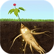 夺笋高手官方正版