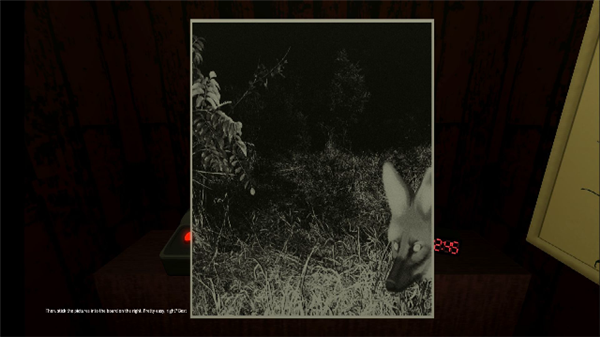 动物观察员游戏玩法3