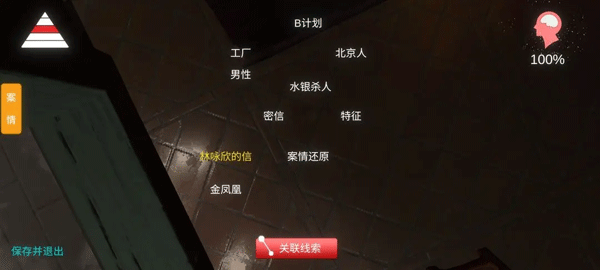 孙美琪疑案金凤凰