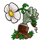 植物大战僵尸拓展版