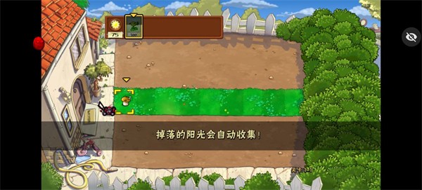 植物大战僵尸随机植物版游戏玩法4