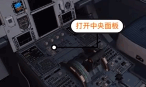 专业飞行模拟10手机版