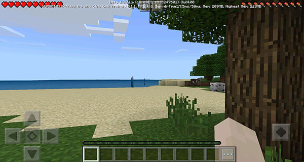 我的世界国际共存版游戏玩法7