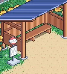 寻找夏日的宝物