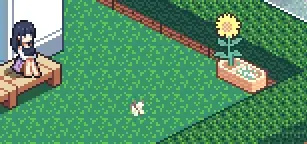 寻找夏日的宝物