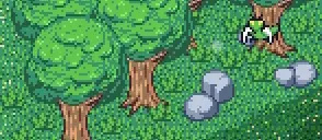 寻找夏日的宝物