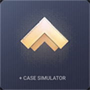 对峙2开箱模拟器