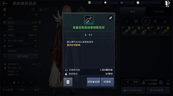 黑色沙漠国际服装备怎么鉴定1