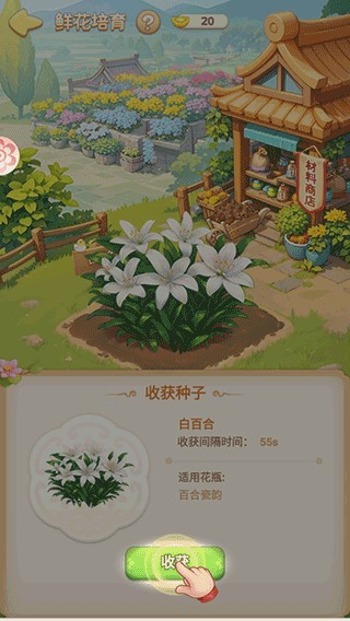 我的花园世界新手攻略4