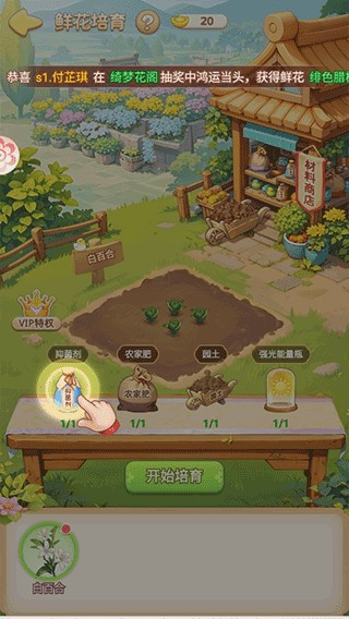 我的花园世界新手攻略3