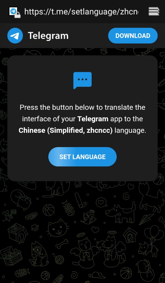 纸飞机怎么设置中文-1