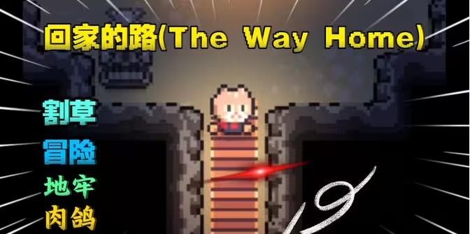 回家的路中文版