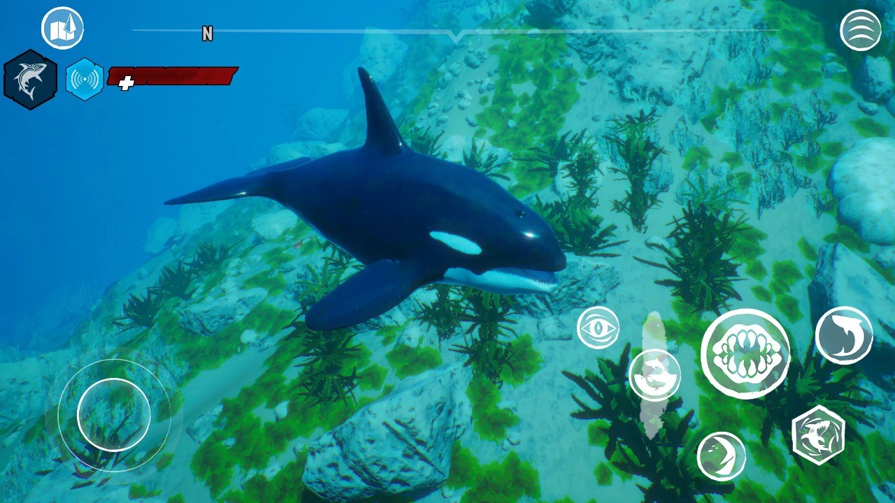 食人鲨正版手游玩法技巧2