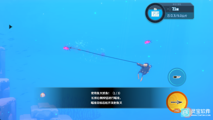 潜水员戴夫游戏玩法4