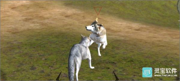 终极狼模拟器2游戏如何找伴侣2