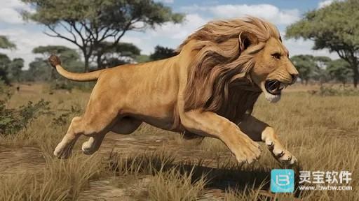 狮子狩猎模拟器游戏玩法2