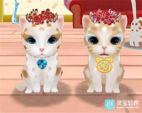 晴天小猫官方版游戏玩法4