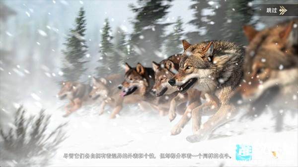 狼族游戏玩法1