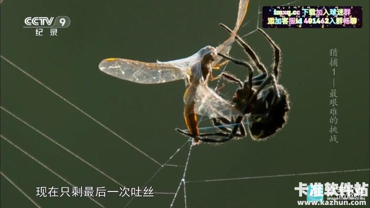 彩虹飞鸟稳定版使用教程-4