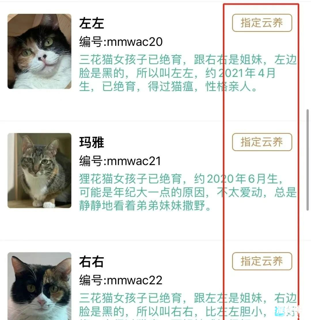 握爪软件怎么云养?2