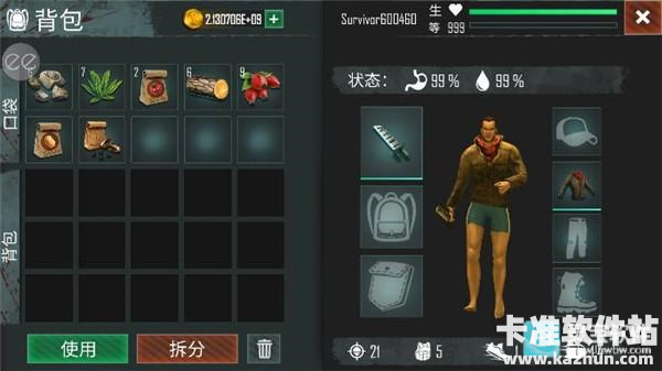 生或死生存中文版游戏玩法6