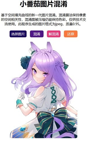 小番茄混淆转换app使用方式-3