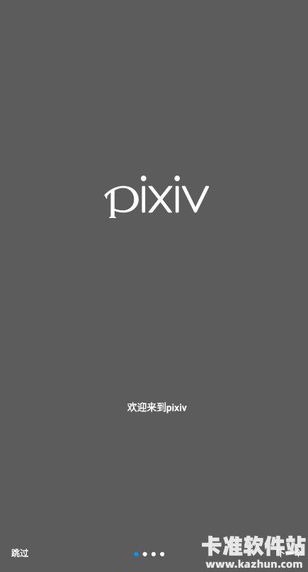 pixiv直连版