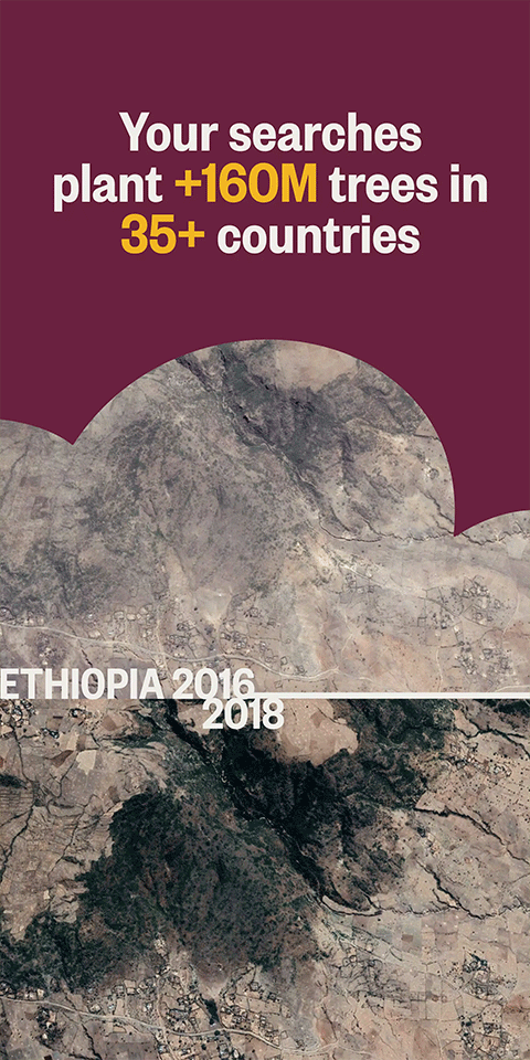 ecosia浏览器安卓版 ecosia浏览器安卓版