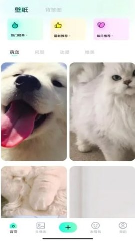 蜜桃壁纸软件免费下载 蜜桃壁纸软件免费下载