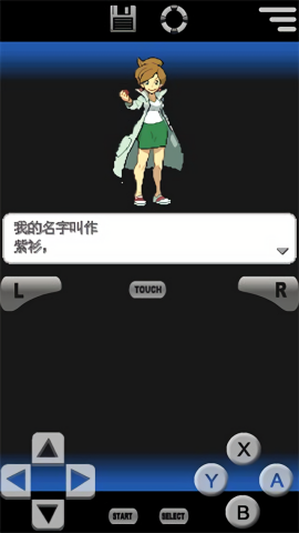 口袋妖怪黑2金手指