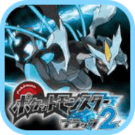 口袋妖怪黑2金手指