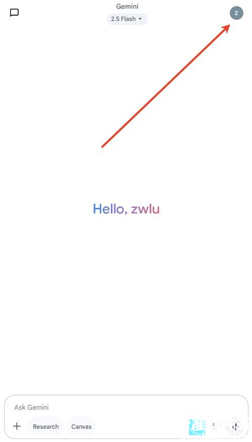 谷歌Gemini软件使用方式-1