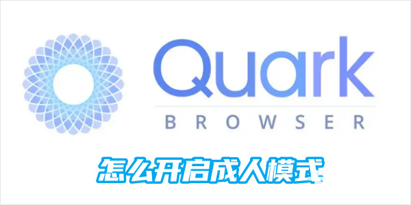 夸克浏览器成人模式怎么开启 夸克如何切换到成人模式